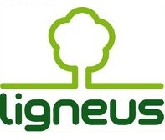 Ligneus Faipari Kft.